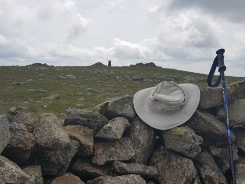 Pillar Summit Lunch Stop