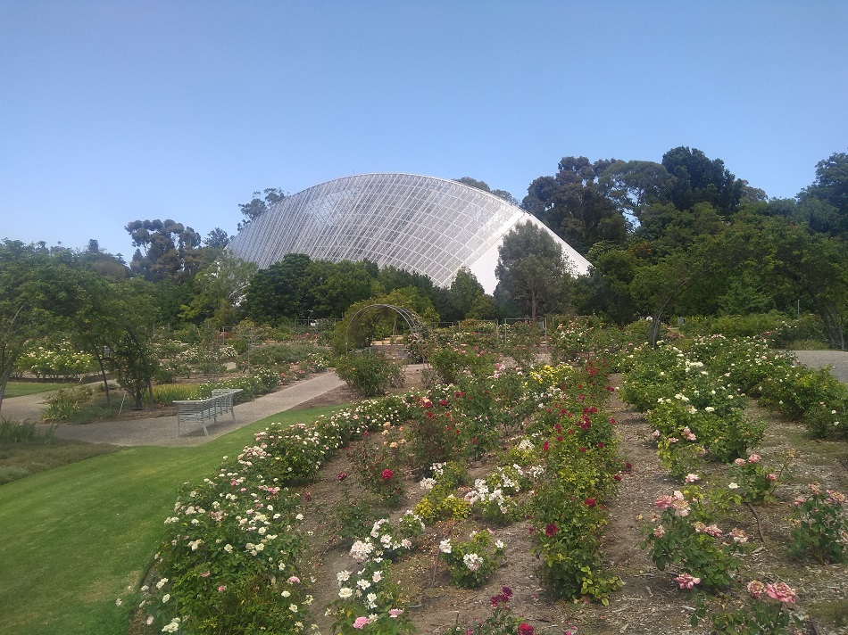 This image has an empty alt attribute; its file name is Adelaide-Botanical-Garden.jpg